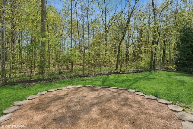 view of grassy yard