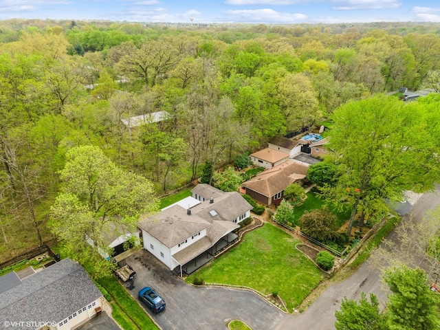 bird's eye view of a forest