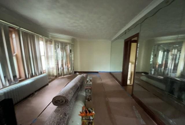 interior space featuring crown molding and a textured ceiling