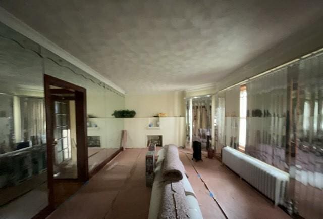 interior space featuring radiator
