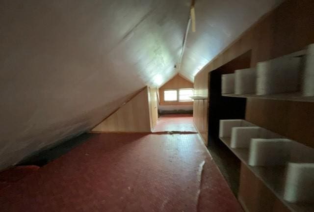additional living space featuring carpet flooring and vaulted ceiling