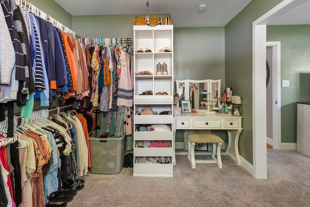 310 S Elm St, Saint Joseph, IL 61873 - walk in closet with carpet floors