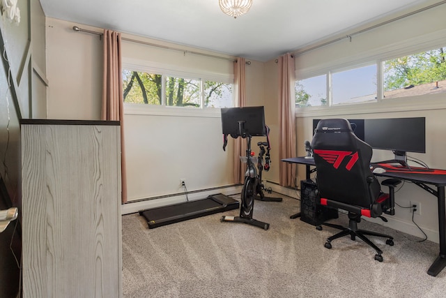 310 S Elm St, Saint Joseph, IL 61873 - workout area with carpet floors and a baseboard radiator