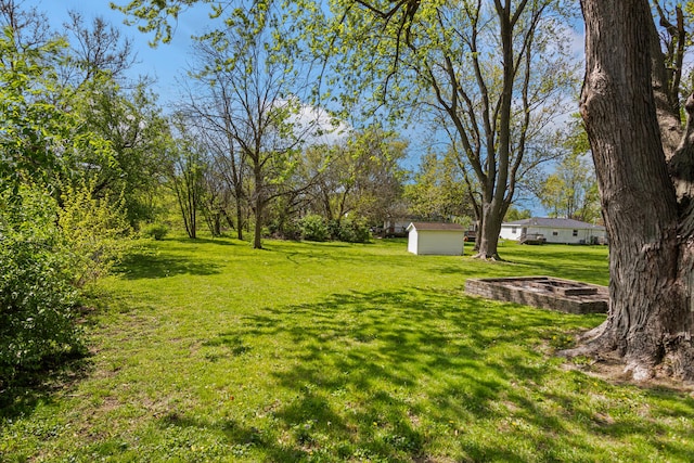 310 S Elm St, Saint Joseph, IL 61873 - view of yard with a storage unit, an outbuilding, and a fire pit