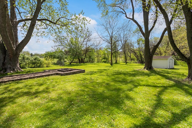 310 S Elm St, Saint Joseph, IL 61873 - view of yard with an outdoor structure and a storage shed
