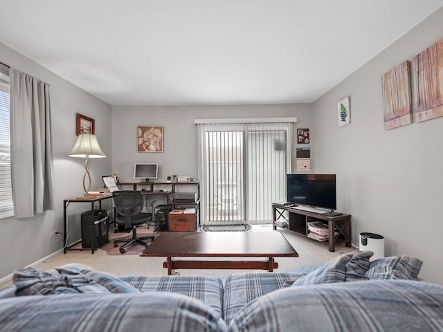 121 Foxhill Ct Unit D, New Lenox, IL 60451 - living room with carpet floors and baseboards