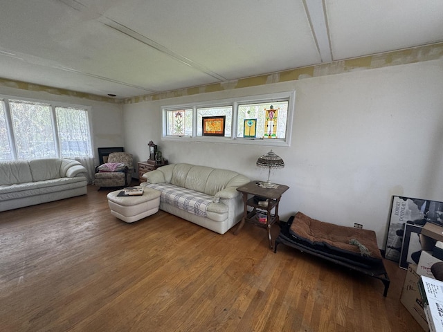 living area with wood finished floors