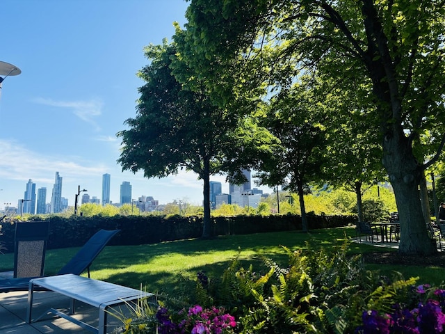 view of green lawn featuring a skyline view