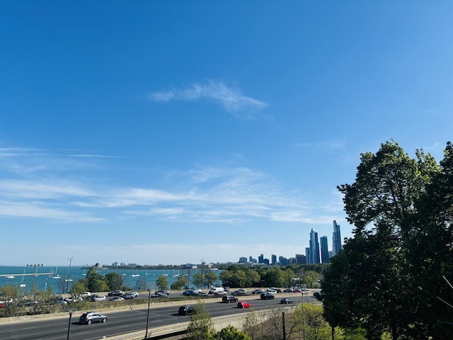 water view featuring a skyline view