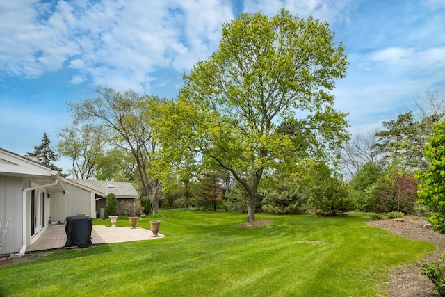 view of yard featuring a patio