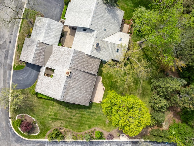 bird's eye view