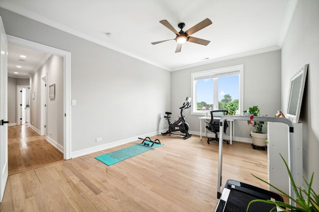 7230 W Belden Ave Unit 3, Elmwood Park, IL 60707 - workout room with ceiling fan, light wood-style floors, crown molding, and baseboards