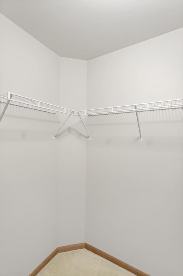 1100 E Cambria Ln, Lombard, IL 60148 - spacious closet featuring light colored carpet