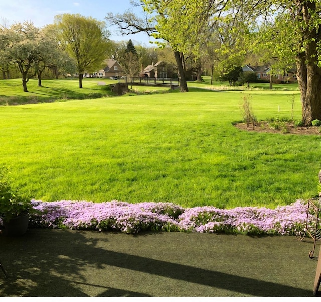 7323 Heritage Ct Unit 1D, Frankfort, IL 60423 - view of property's community with a yard