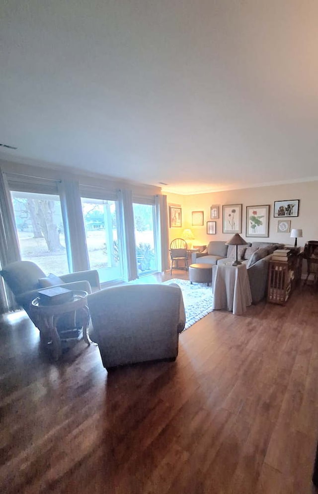 7323 Heritage Ct Unit 1D, Frankfort, IL 60423 - living area featuring crown molding and wood finished floors