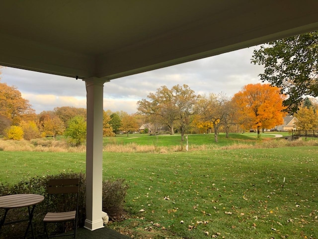 7323 Heritage Ct Unit 1D, Frankfort, IL 60423 - view of green lawn