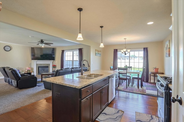 kitchen featuring dark wood-type flooring, a sink, a wealth of natural light, and stainless steel appliances
