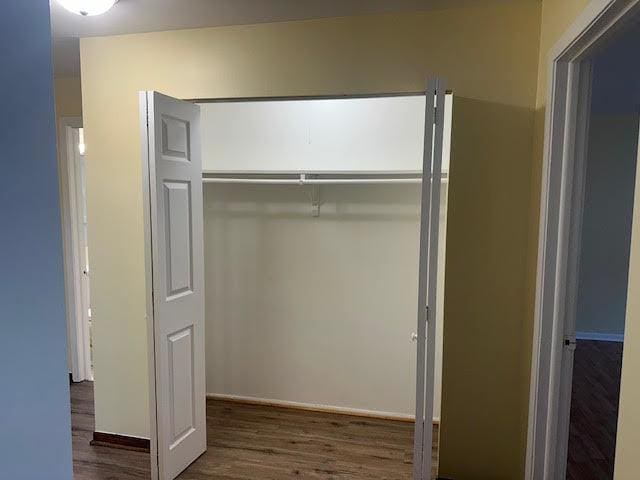 8901 N Western Ave Unit 116, Des Plaines, IL 60016 - view of closet