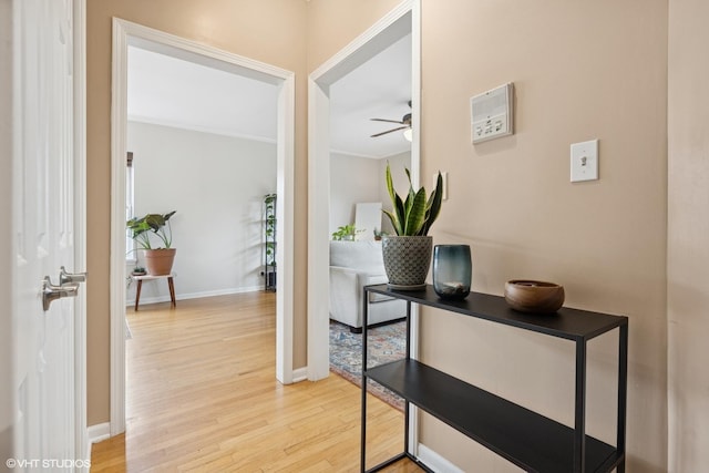 hall featuring baseboards, light wood finished floors, and crown molding