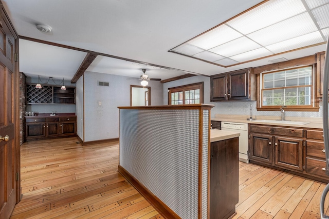 kitchen with dark brown cabinetry, light wood finished floors, a sink, and dishwasher