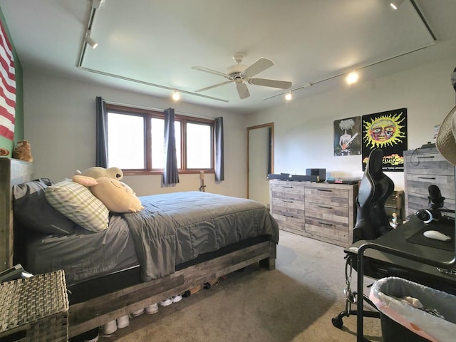 10160 Lancaster Dr, Mokena, IL 60448 - carpeted bedroom featuring a ceiling fan and track lighting