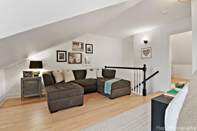 623 Broadway St, Libertyville, IL 60048 - living room featuring light wood-type flooring and lofted ceiling