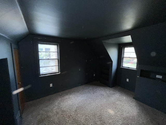 156 W 141st St, Riverdale, IL 60827 - bonus room with carpet flooring, vaulted ceiling, and plenty of natural light