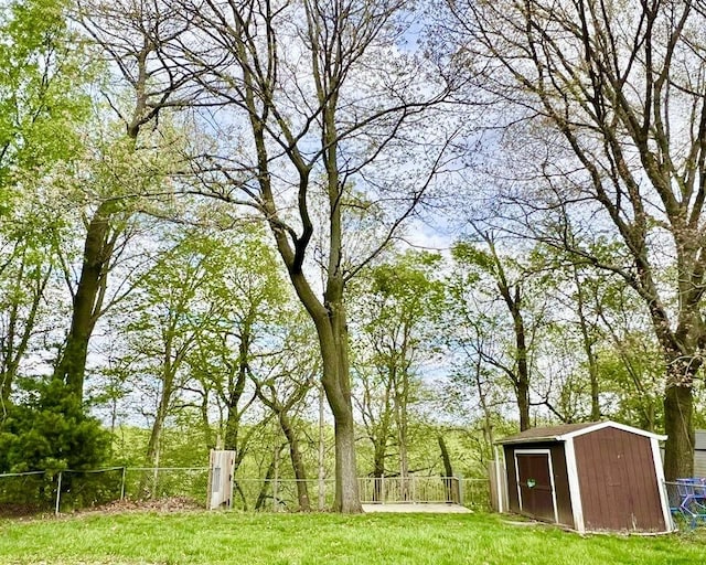 view of yard with a storage shed and an outdoor structure