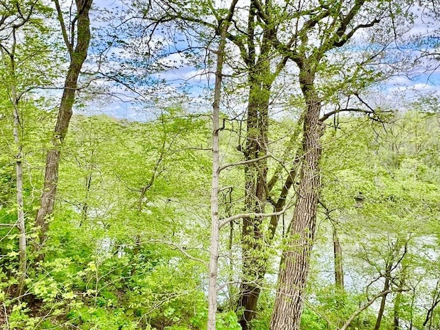 view of wooded area