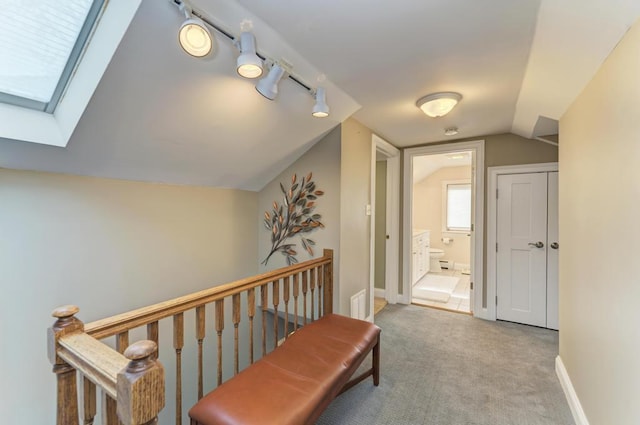 221 8th St, Downers Grove, IL 60515 - corridor with vaulted ceiling, carpet floors, a skylight, track lighting, and baseboards