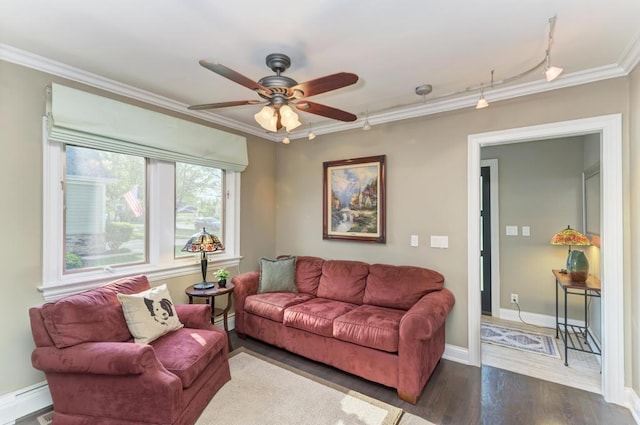 221 8th St, Downers Grove, IL 60515 - living room with crown molding, a ceiling fan, track lighting, wood finished floors, and a baseboard heating unit