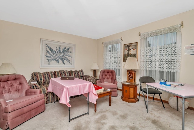 25056 Madison St, Plainfield, IL 60544 - sitting room featuring carpet floors