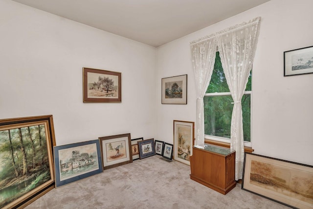 25056 Madison St, Plainfield, IL 60544 - living area featuring carpet