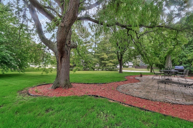25056 Madison St, Plainfield, IL 60544 - view of grassy yard featuring a patio