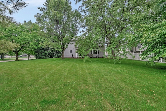 25056 Madison St, Plainfield, IL 60544 - view of green lawn