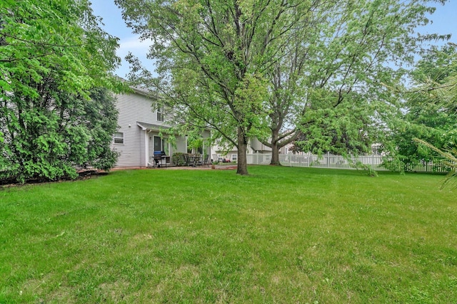 25056 Madison St, Plainfield, IL 60544 - view of yard featuring a patio area