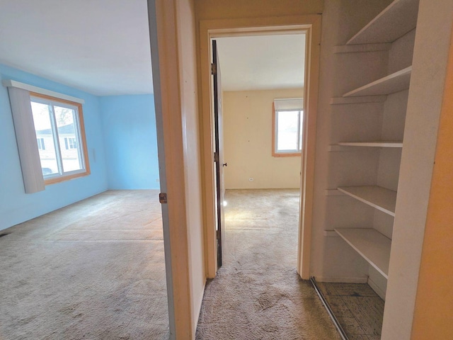 hall featuring carpet floors