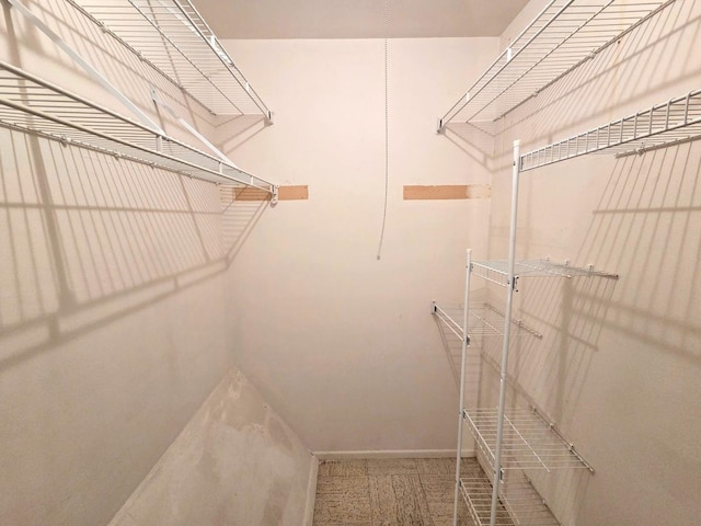 view of walk in closet