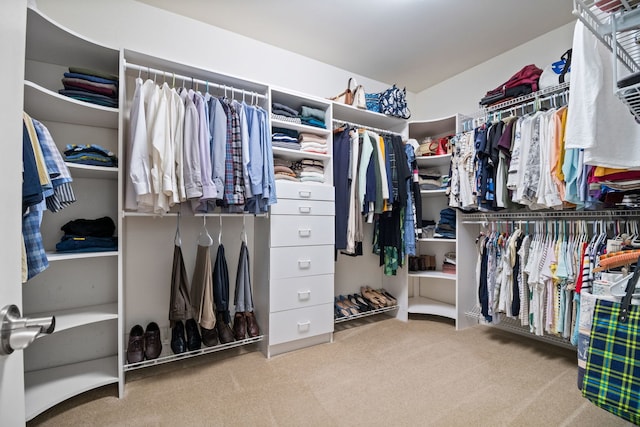 40W434 Triple Oaks Farm Dr, Hampshire, IL 60140 - walk in closet with carpet flooring