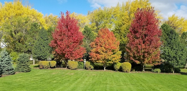 40W434 Triple Oaks Farm Dr, Hampshire, IL 60140 - view of green lawn