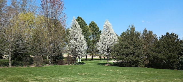 40W434 Triple Oaks Farm Dr, Hampshire, IL 60140 - view of home's community featuring a lawn