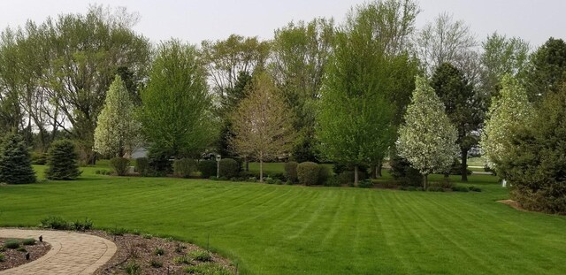 40W434 Triple Oaks Farm Dr, Hampshire, IL 60140 - view of green lawn
