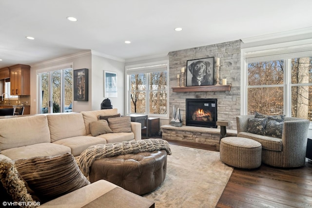 living room with plenty of natural light, ornamental molding, a stone fireplace, and hardwood / wood-style floors
