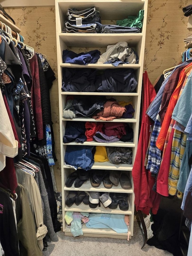spacious closet featuring carpet flooring