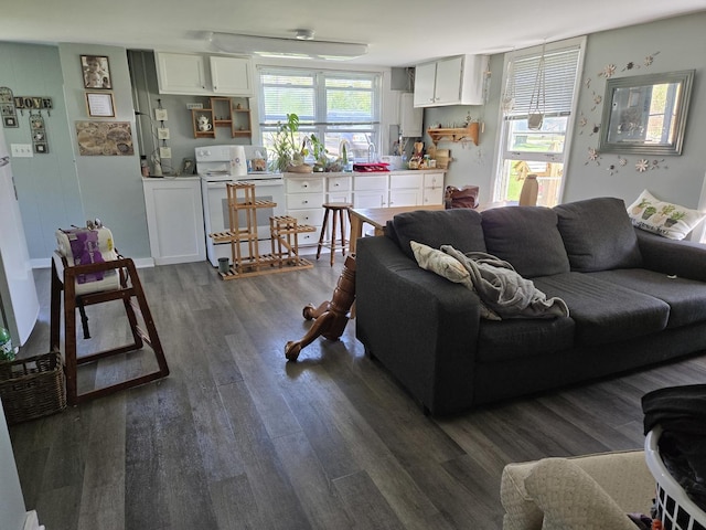 24758 S Tryon St, Channahon, IL 60410 - living area featuring dark wood-type flooring