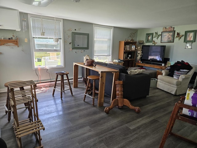 24758 S Tryon St, Channahon, IL 60410 - living area featuring dark wood-style flooring and a baseboard heating unit