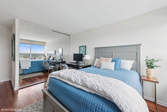 5733 N Sheridan Rd Unit 29D, Chicago, IL 60660 - bedroom with baseboards, wood-type flooring, and a closet