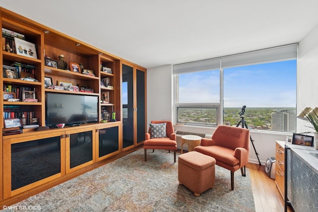 5733 N Sheridan Rd Unit 29D, Chicago, IL 60660 - living area featuring light wood finished floors and a wall unit AC