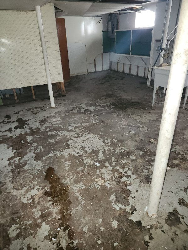 14201 S Wentworth Ave, Riverdale, IL 60827 - unfinished basement with electric panel
