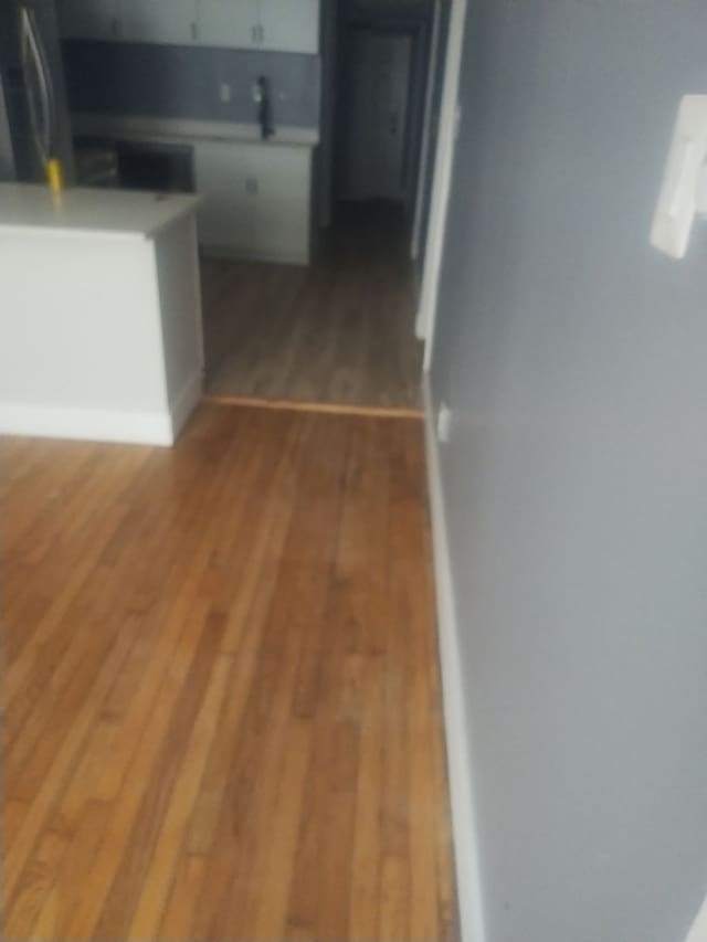14201 S Wentworth Ave, Riverdale, IL 60827 - kitchen featuring light wood-type flooring